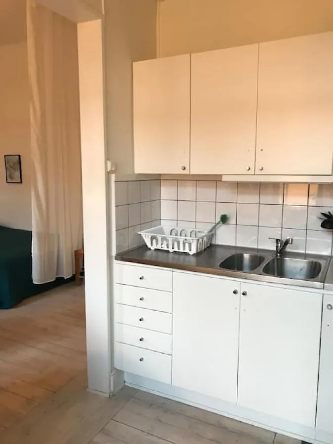 Bohemian And Light One Room Apartment In Sofo 31Sqm Stockholm Sweden